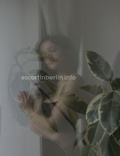 Hure Theo - Foto 3 №275